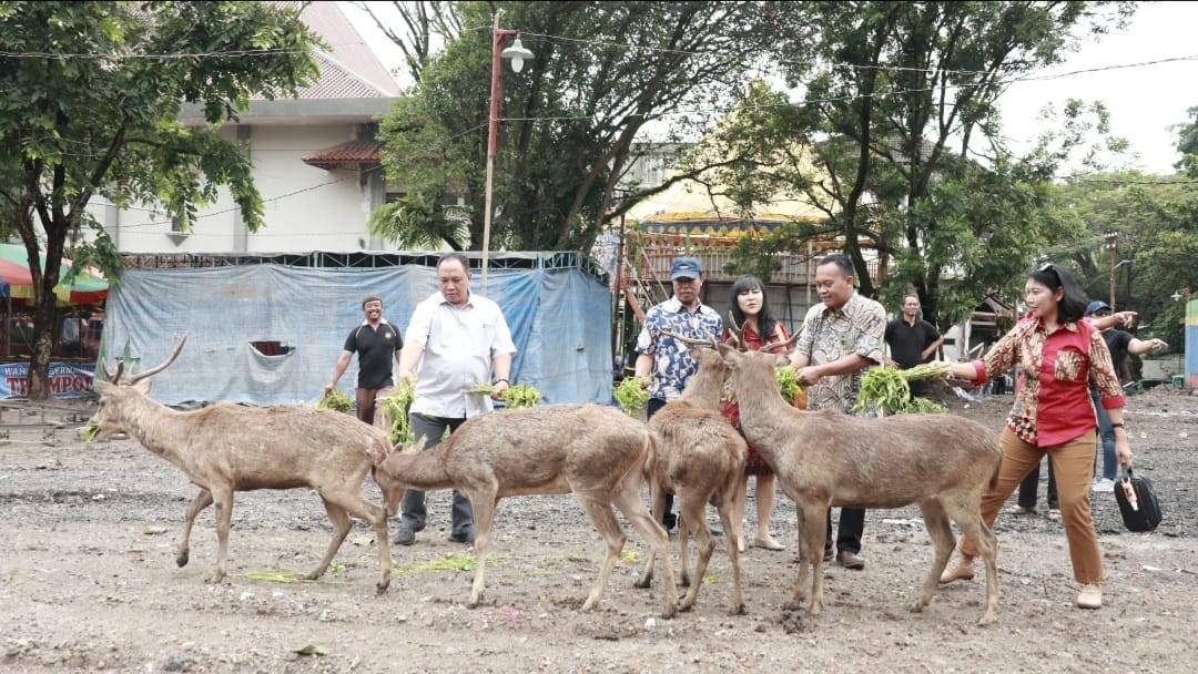 Komisi IV Minta Pengawasan Rusa di Sriwedari Diperketat
